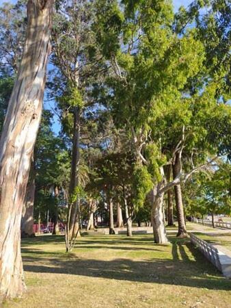 Apartamentos Mar De La Concha Vilagarcia de Arousa Eksteriør bilde